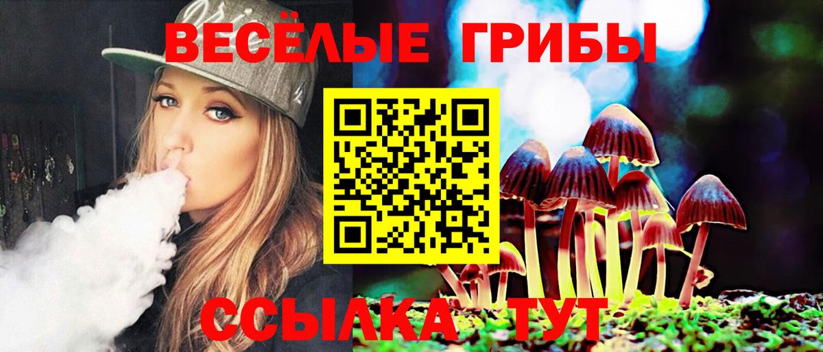 Псилоцибиновые грибы Psilocybine cubensis Лесной